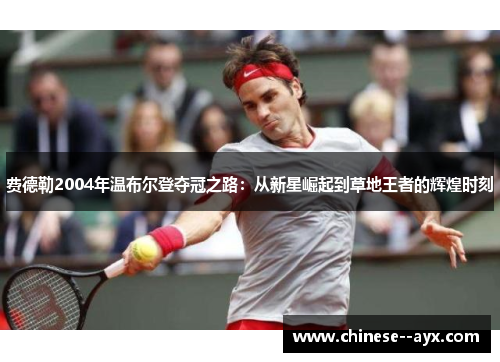 费德勒2004年温布尔登夺冠之路:从新星崛起到草地王者的辉煌时刻 费德勒2004年温布尔登夺冠之路:从新星崛起到草地王者的辉煌时刻