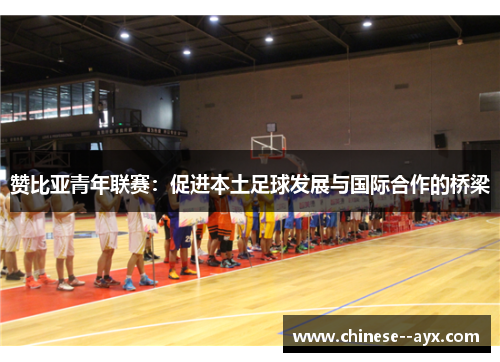 赞比亚青年联赛：促进本土足球发展与国际合作的桥梁