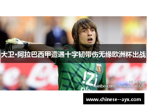 大卫·阿拉巴西甲遭遇十字韧带伤无缘欧洲杯出战