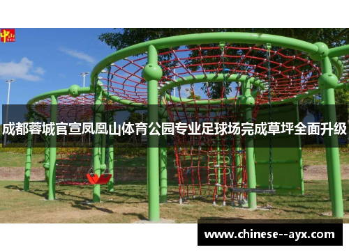 成都蓉城官宣凤凰山体育公园专业足球场完成草坪全面升级 成都蓉城官宣凤凰山体育公园专业足球场完成草坪全面升级